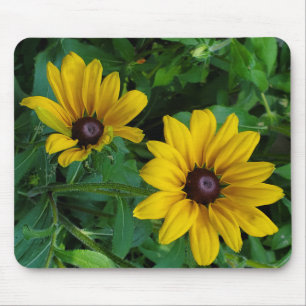 Mousepad Susanos de Olhos Negros