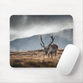 Mousepad Svalbard Reindeer Nature Foto: