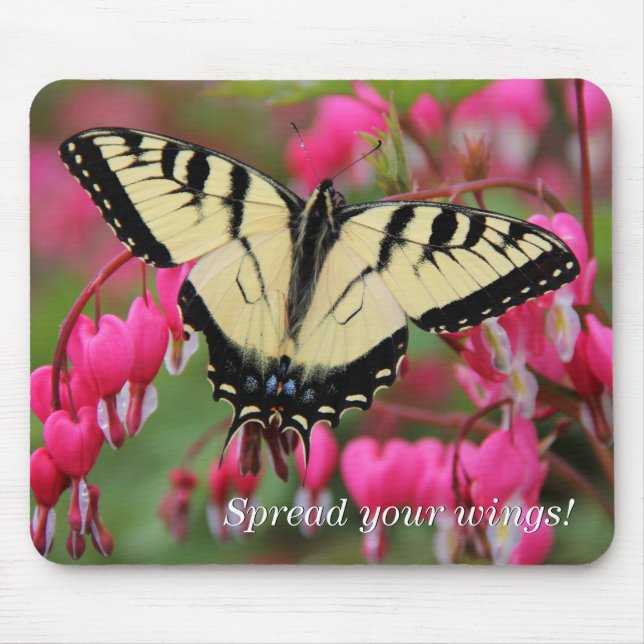 Mousepad Swallowtail oriental 2 (Frente)