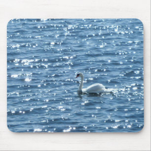 Mousepad Swan, Cardiff Bay, Cardiff, País de Gales