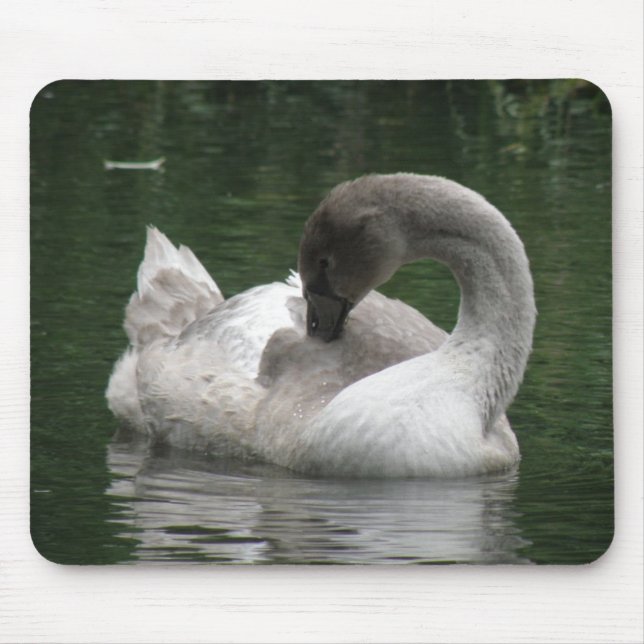 Mousepad Swan Sonolento (Frente)