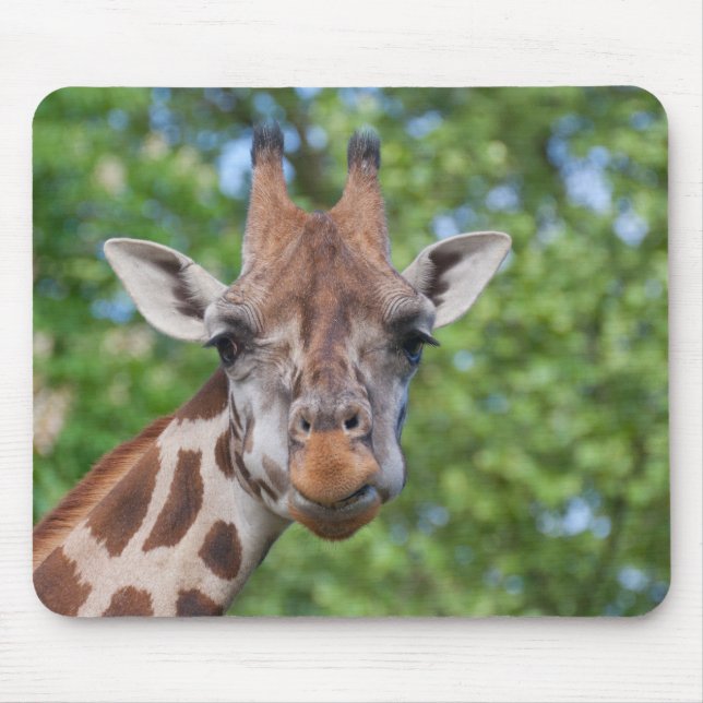 Mousepad Sweet Curios Giraffe (Frente)