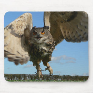 Mousepad Swooping da coruja de Eagle