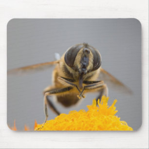 Mousepad Syrphidae