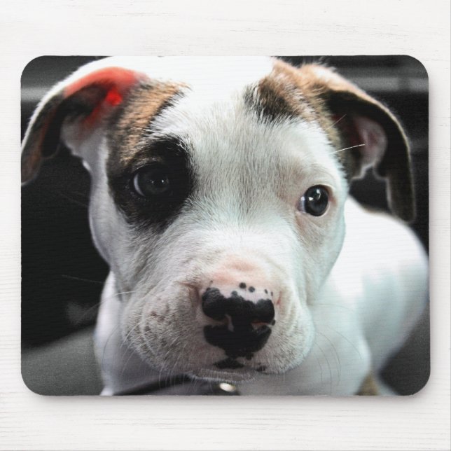 Mousepad T-Osso do pitbull do filhote de cachorro (Frente)