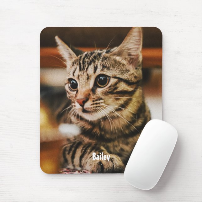 Mousepad Tabby American Shorthair Custom (Com mouse)