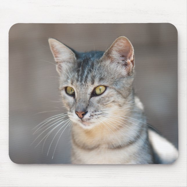 Mousepad Tabby cat (Frente)