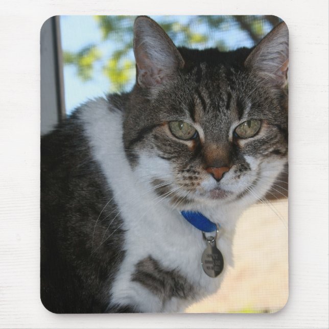 Mousepad Tabby Cat com Bonito proteção do mouse (Frente)