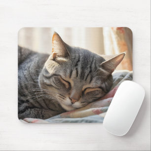 Mousepad Tabby Cat Dormindo Na Filha Antiga