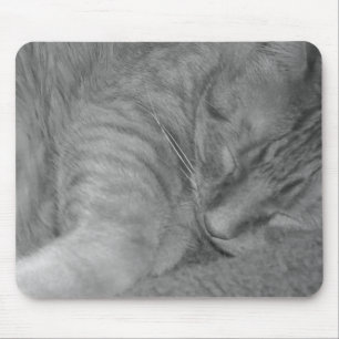 Mousepad Tabby Laranja Cat/Black & White Photo