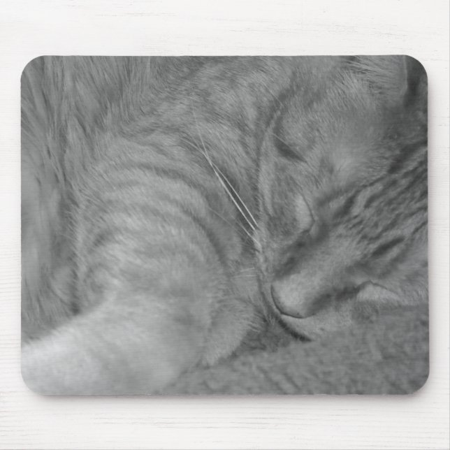 Mousepad Tabby Laranja Cat/Black & White Photo (Frente)