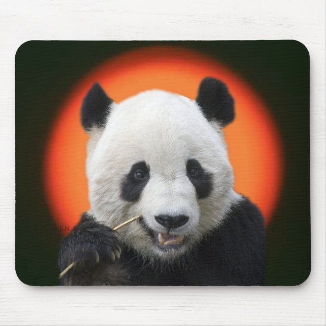 MOUSEPAD TAI SHAN (Frente)