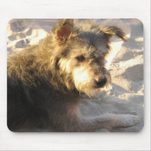Mousepad Tailandês Beach Dog