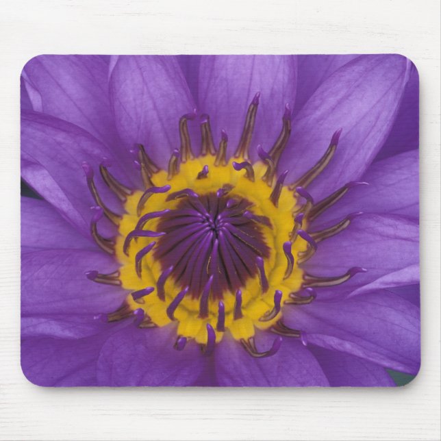 Mousepad Tailândia, Banguecoque, Lótus roxo e amarelo (Frente)