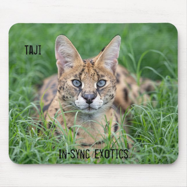 Mousepad Taji - (Frente)