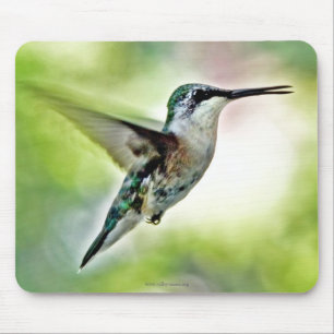 Mousepad Tampo de Mouse Beija-flor