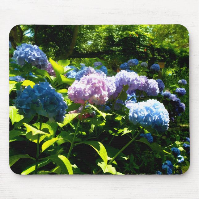 Mousepad Tampo de Mouse de Gel de Flor de Hortênsia (Frente)