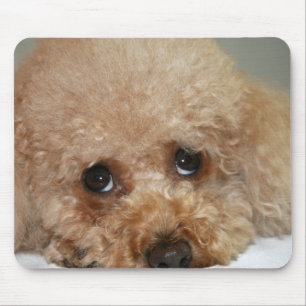 Mousepad Tampo de Rato Poodle Cabeça Vermelha