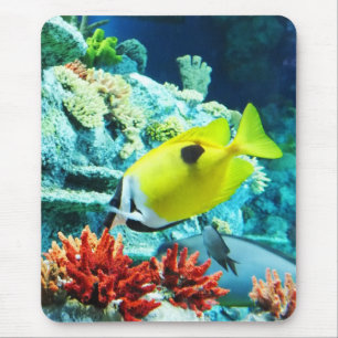 Mousepad Tang