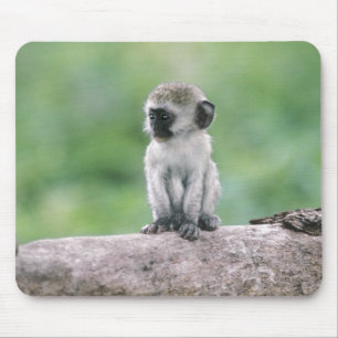 Mousepad Tanzânia, Cratera de Ngorogoro. Close-up de selvag