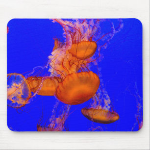 Mousepad Tapete de Mouse de Água-viva Laranja Arte de Mes