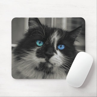 Mousepad Tapete de Mouse Gato Preto Alma Azul Olhos Azuis