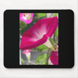 Mousepad Tapete de Mouse Ipoméia Vermelho Rubi