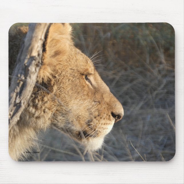MOUSEPAD TAPETE DE MOUSE RETRATO DE LEÃO MACHO (Frente)