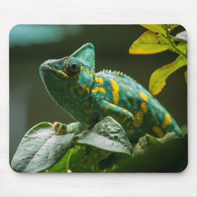 Mousepad Tapete de Rato Camaleão Verde (Frente)