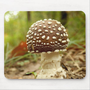 Mousepad Tapete de Rato Cogumelo Amânita