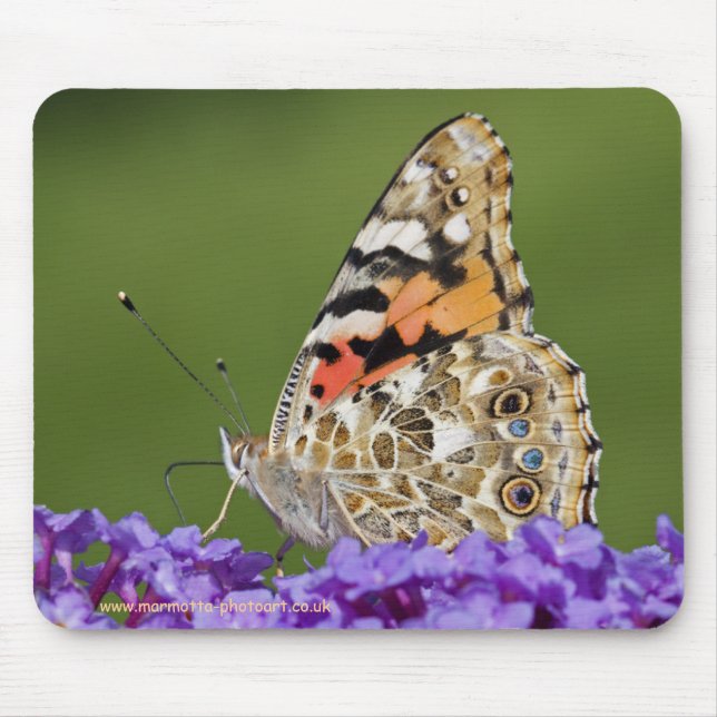 Mousepad Tapete de Rato Colhendo Néctar (Frente)