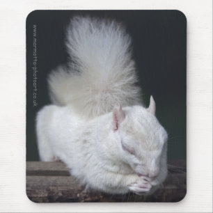 Mousepad Tapete de Rato da Oração do Nutty