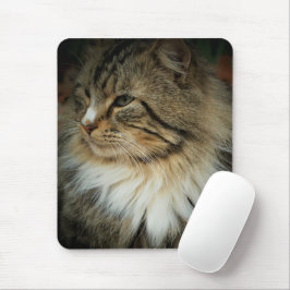 Mousepad Tapete de Rato de Gato da Floresta Norueguesa