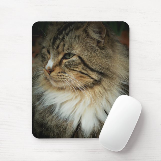 Mousepad Tapete de Rato de Gato da Floresta Norueguesa (Com mouse)
