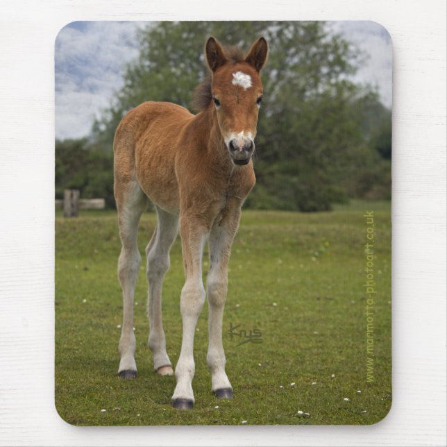 Mousepad Tapete de Rato de Potro (Frente)