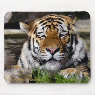 Mousepad Tapete de Rato do Tigre de Zambar