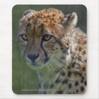 Mousepad Tapete de rato Golden Cheetah