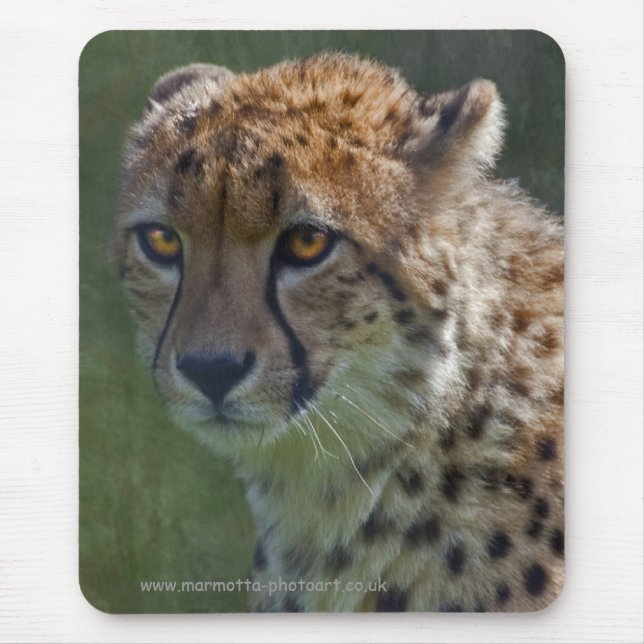 Mousepad Tapete de rato Golden Cheetah (Frente)