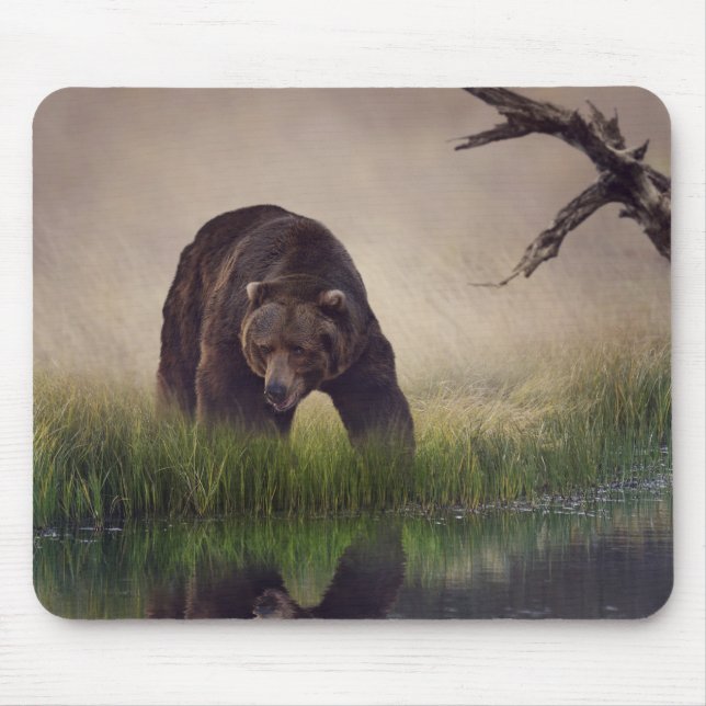 Mousepad Tapete de Rato Urso Pardo Caça (Frente)