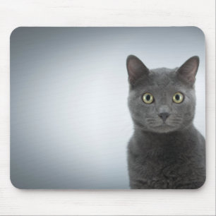 Mousepad Tapete de ratos gato