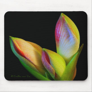 Mousepad Tapete do rato