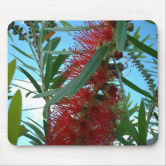 Mousepad Tapete do rato