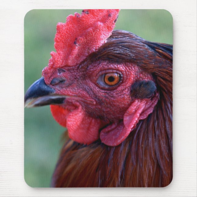 Mousepad Tapete do rato (Frente)