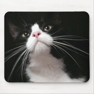 Mousepad tapete do rato