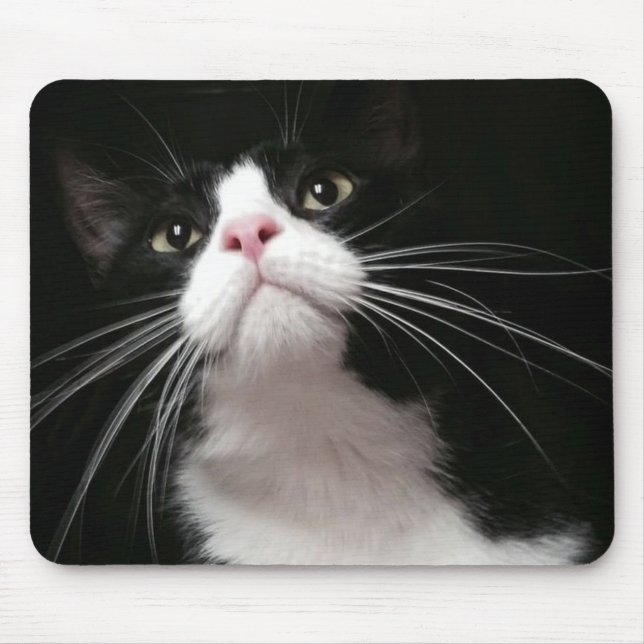Mousepad tapete do rato (Frente)
