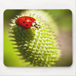 Mousepad Tapete do rato