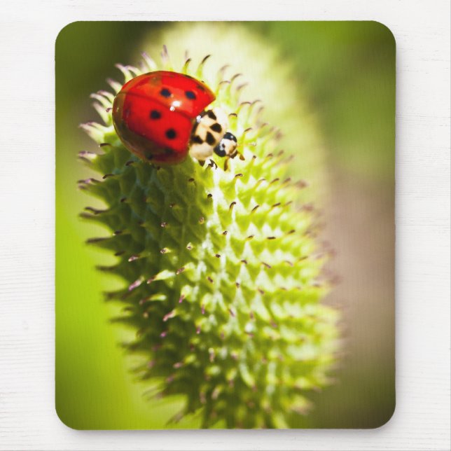 Mousepad Tapete do rato (Frente)