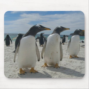Mousepad Tapete do rato 19 do pássaro