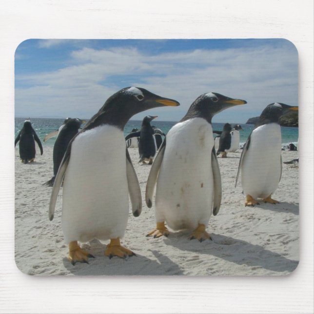 Mousepad Tapete do rato 19 do pássaro (Frente)