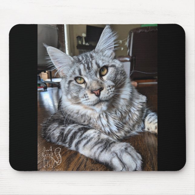 Mousepad Tapete do rato #1 do Sr. Filhote de cachorro-Meias (Frente)